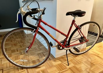 Giant Lady Bike Small