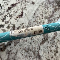Ski Poles