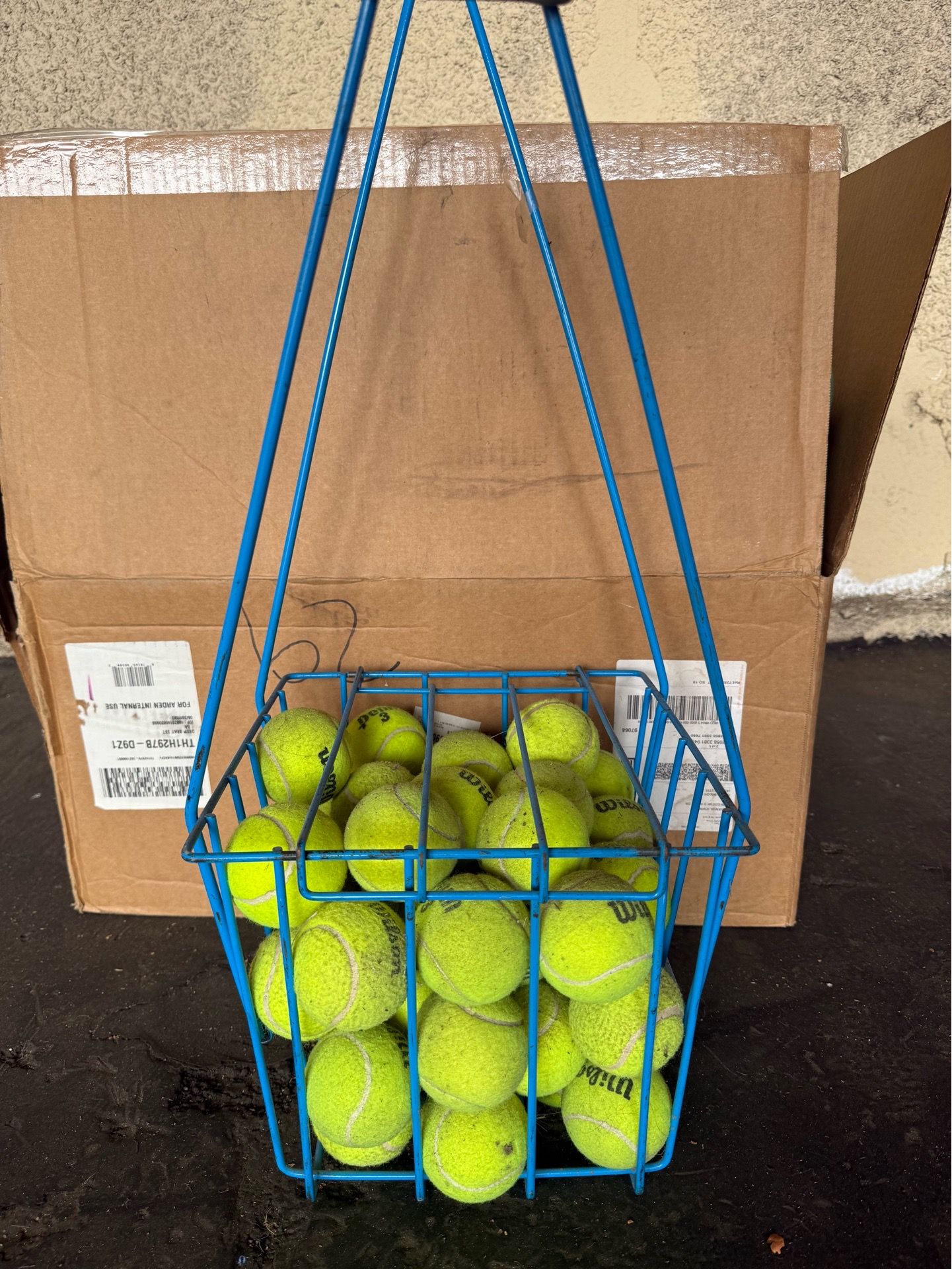 Used Tennis Balls for Sale – $10