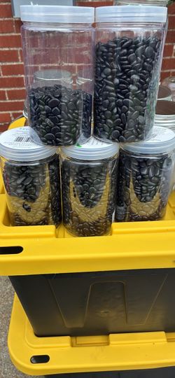 Black Decorative Filler Pebbles