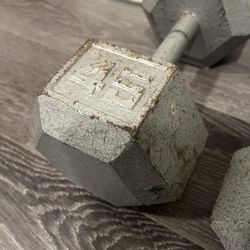 45Lb Dumbbells 