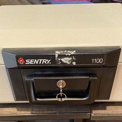 Sentry 1100 Safe Box 