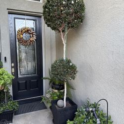 8’ Foot Tall Topiary 