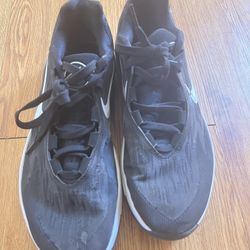 nike air zoom hoop shoes