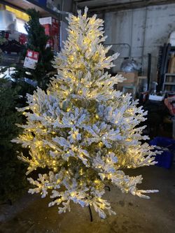 New Home Decorators 6,5 Ft Flocked Kenwood Fraser Fir Led Pre Lit Christmas Tree