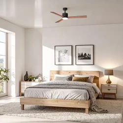 Ceiling fan