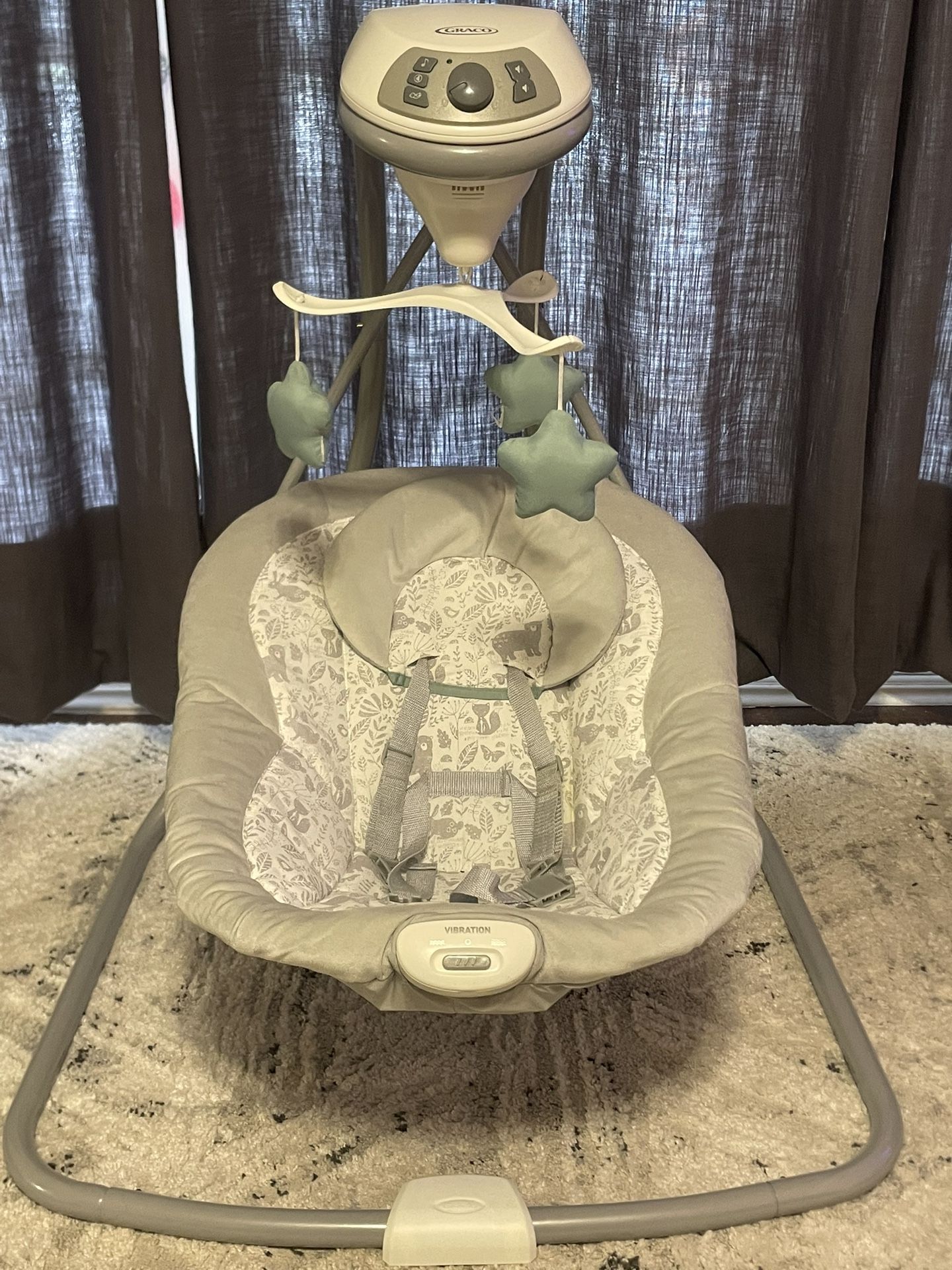 Graco Baby Swing