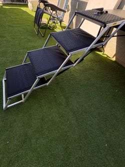 Extra Wide Dog Stairs