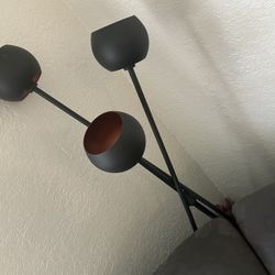 Standing Lamp & Wall Decor 