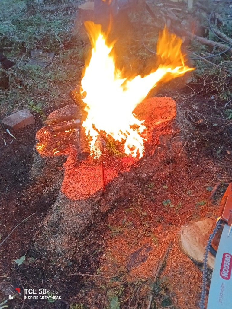 🔥 Douglas Fir Premium Firewood 🔥