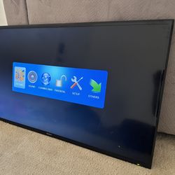 46” Westinghouse Flat Screen TV – Works Great (No Remote)