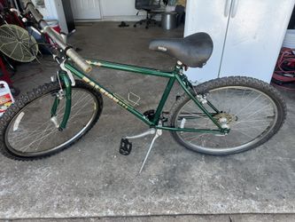 Raleigh Mike M-40