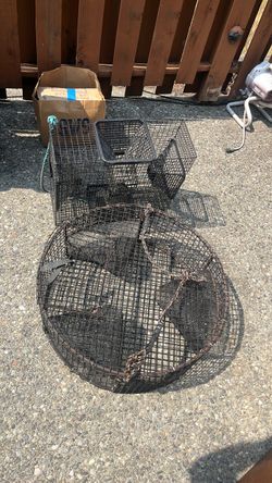 Shrimp pots 2