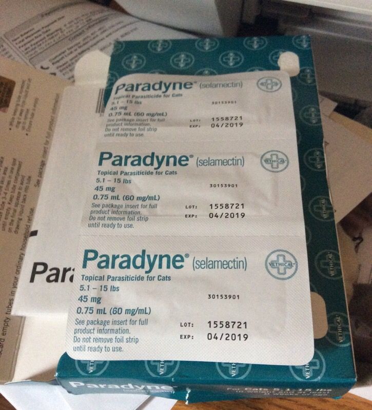 Paradyne for cats 5.1 - 15 lbs