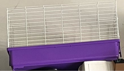 Guinea pig cage