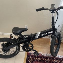 Lectric Bike