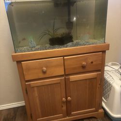 30 Gal Fish Tank With Stand