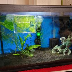 Aquarium Tank 5 Gallon