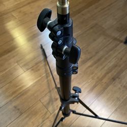 Light Stand
