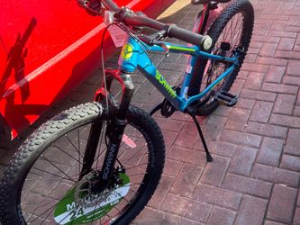 new schwinn 24”