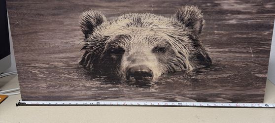 36 x 16 grizzly bear decor