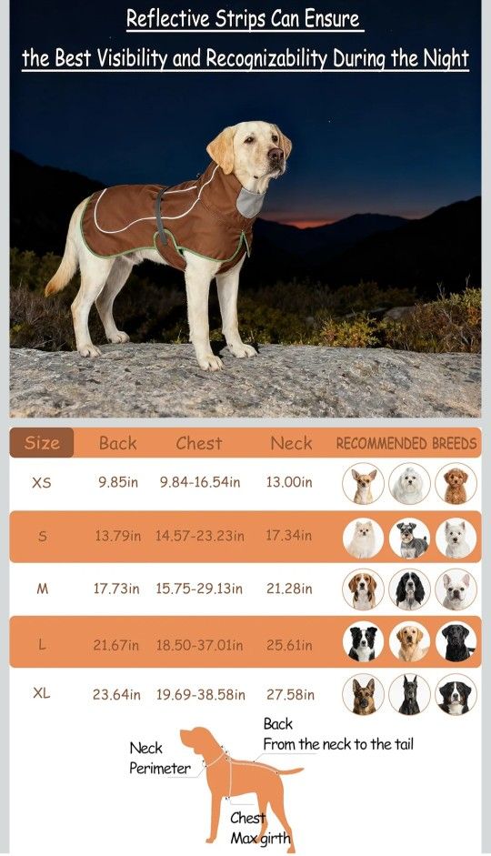 Large Dog Vest For Winter 