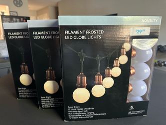 LED Globe Indoor and Outdoor Lights