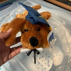 Graduation Stuffed Animal 