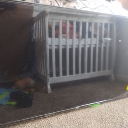 55 Inch Ruku