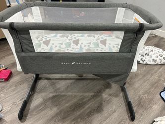 Bassinet bed side sleeper