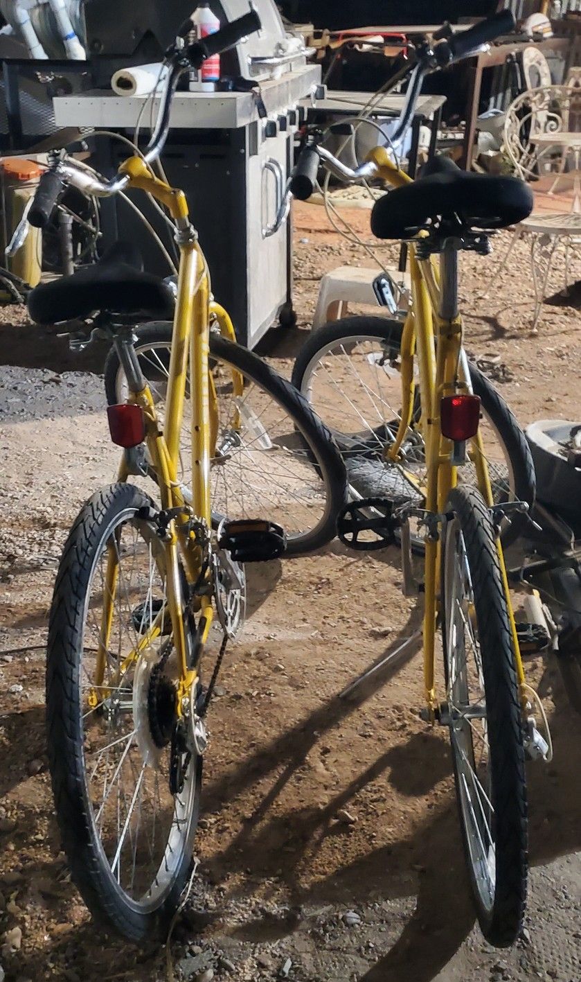 2 Bikes For $100