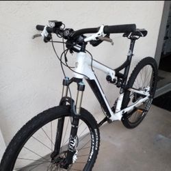 TREk Bike 