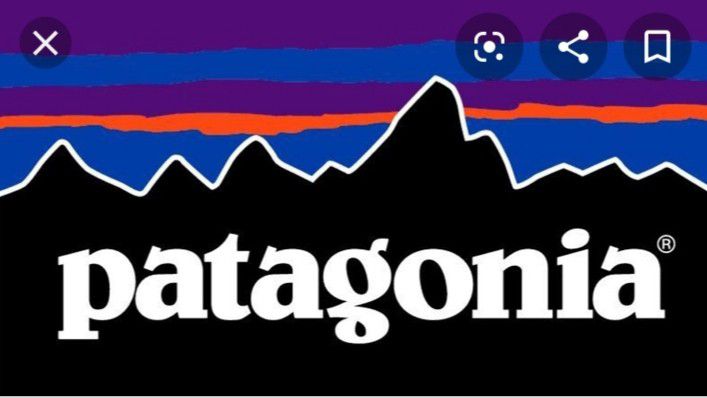 Patagonia BUNDLE DEAL