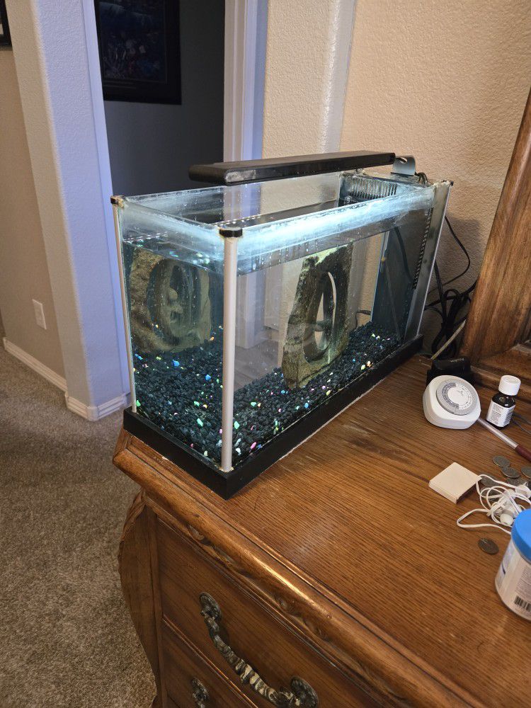 5 Gallon Aquarium Fish Tank