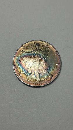 2004 American Silver Eagle TONED .999 1 Oz. Fine Silver