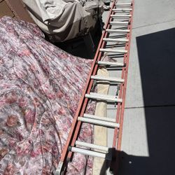 Paint Ladder Extension  24 Ft 