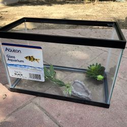 Reptile Tank 10 Gallon 