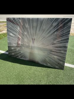 White Peacock Canvas Wall Art glass Print