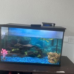 Fish Tank With UV Light and Decor 