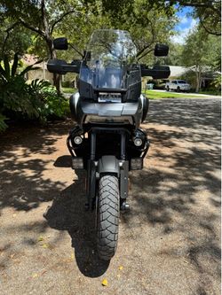 2021 HD Pan America Special
