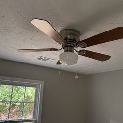 Ceiling Fan with light