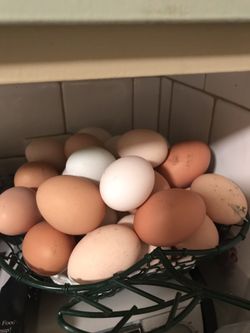 Fresh eggs