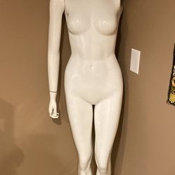 Tall Elegant Mannequin 