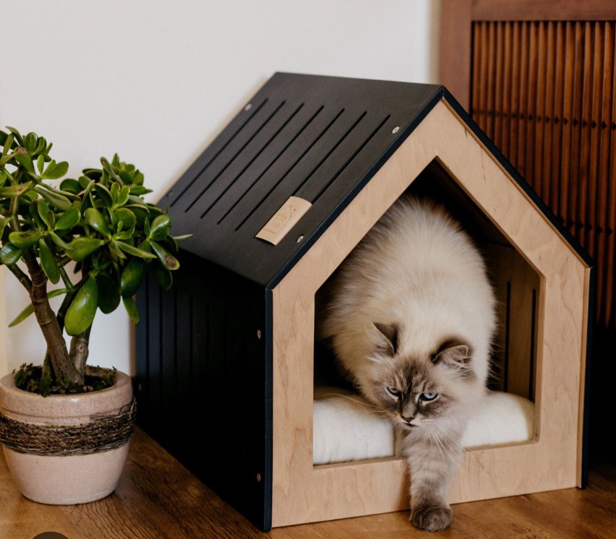 Cat House