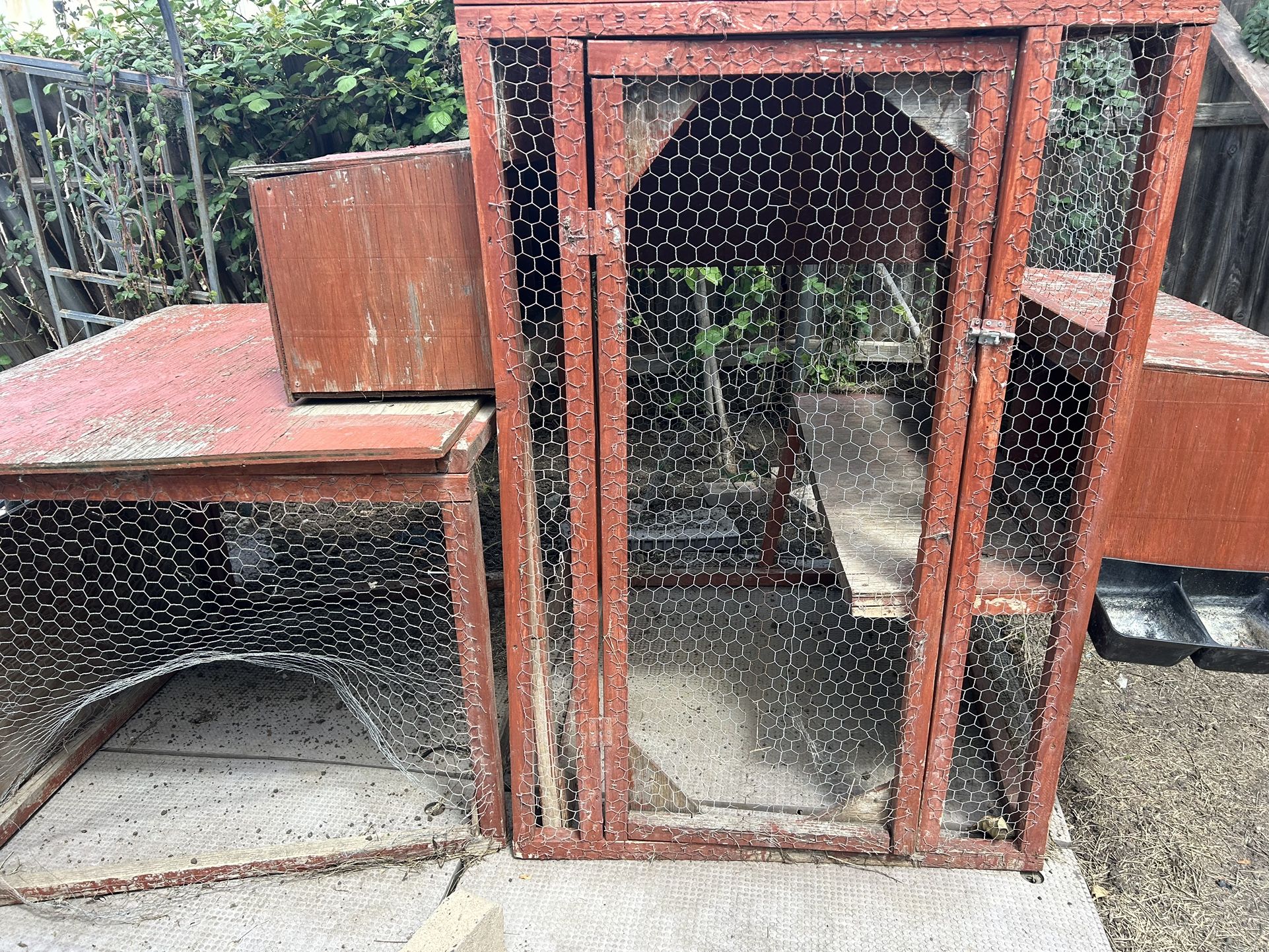 Chicken Cage $50