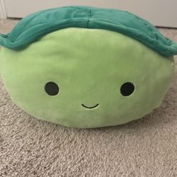 Turtle squishmallow