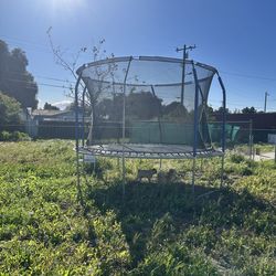Trampoline