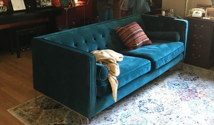 Velvet couch