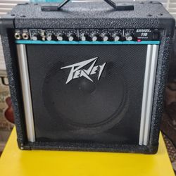 Peavey envoy 2024 110 vintage