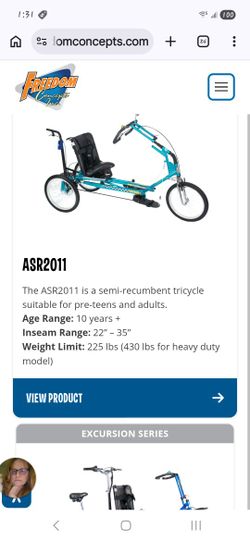 Custom Trike